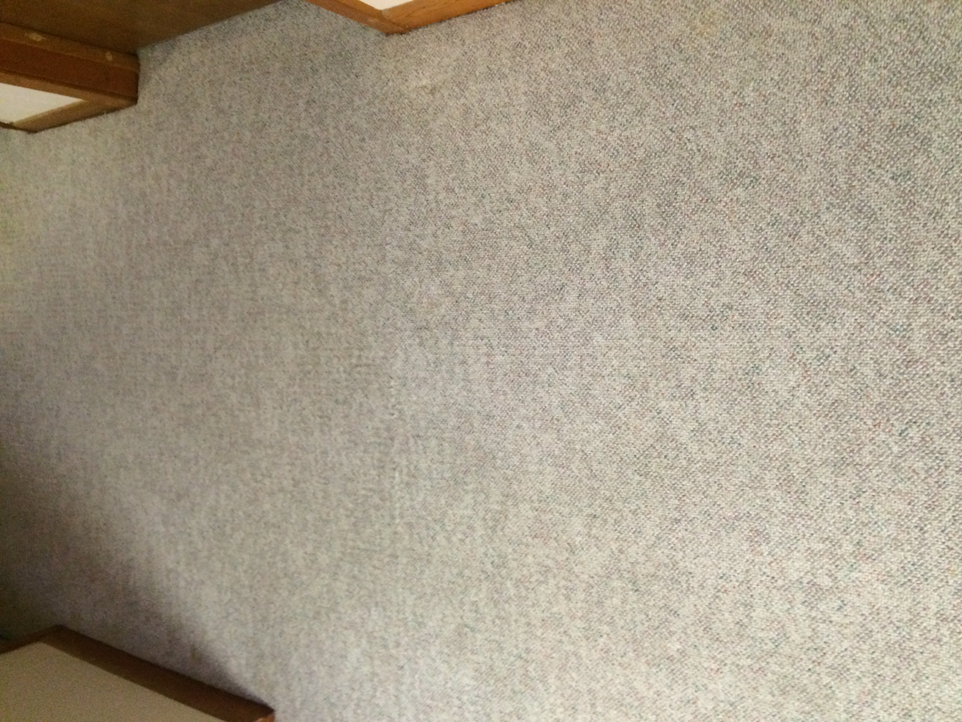 Professional Carpet Cleaning Livingston MS